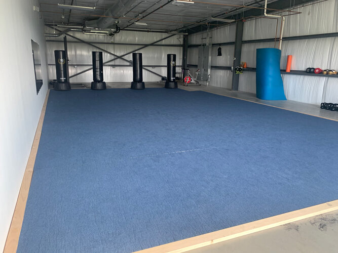 Rehab and movement floor with training equipment